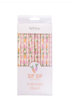 Carrot and Striped Reusable Straws
