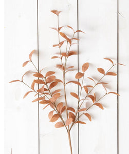Branch - Cocoa Fall Foliage