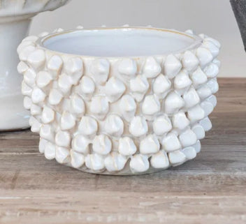 Cream raised dot pot