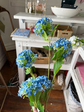 Load image into Gallery viewer, Hydrangea flower stem