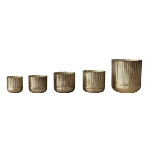 Metal ribbed planters with scalloped edges