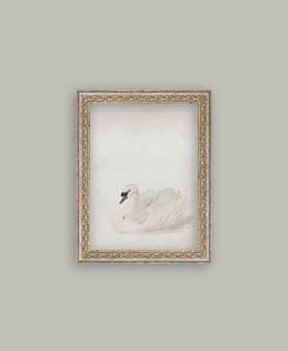 Single Swan Framed Art