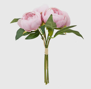 Peonie stems