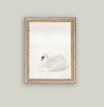 Load image into Gallery viewer, Petal Lane Artwork