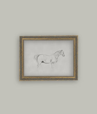 Horse Framed Art