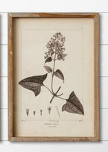 Load image into Gallery viewer, Floral pictures