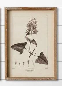 Floral pictures