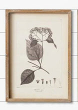 Load image into Gallery viewer, Floral pictures