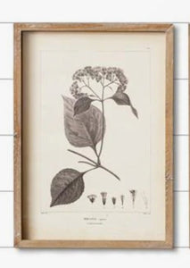 Floral pictures