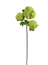 Load image into Gallery viewer, Floral and Green Stems