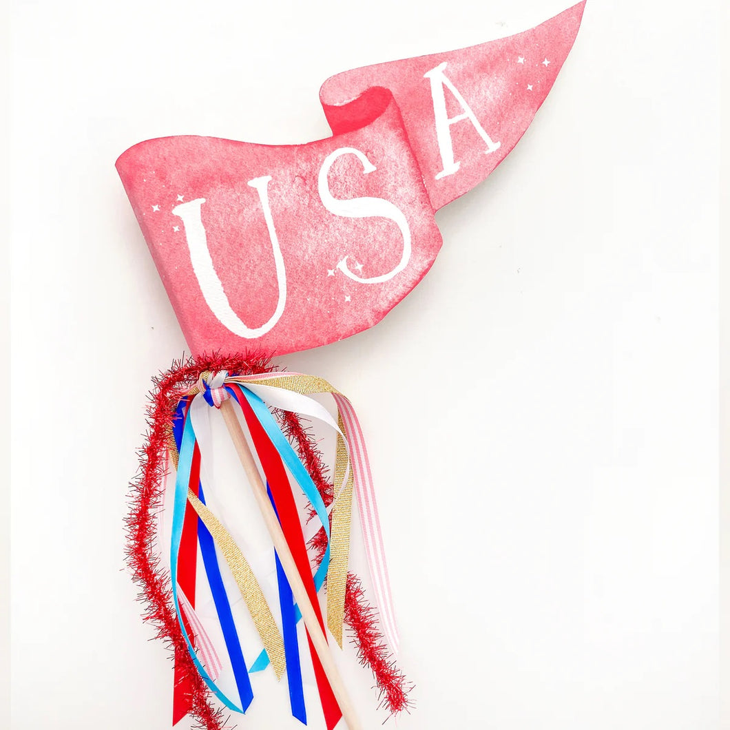USA party pennant